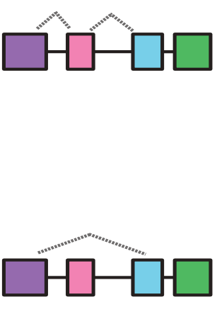 isoform